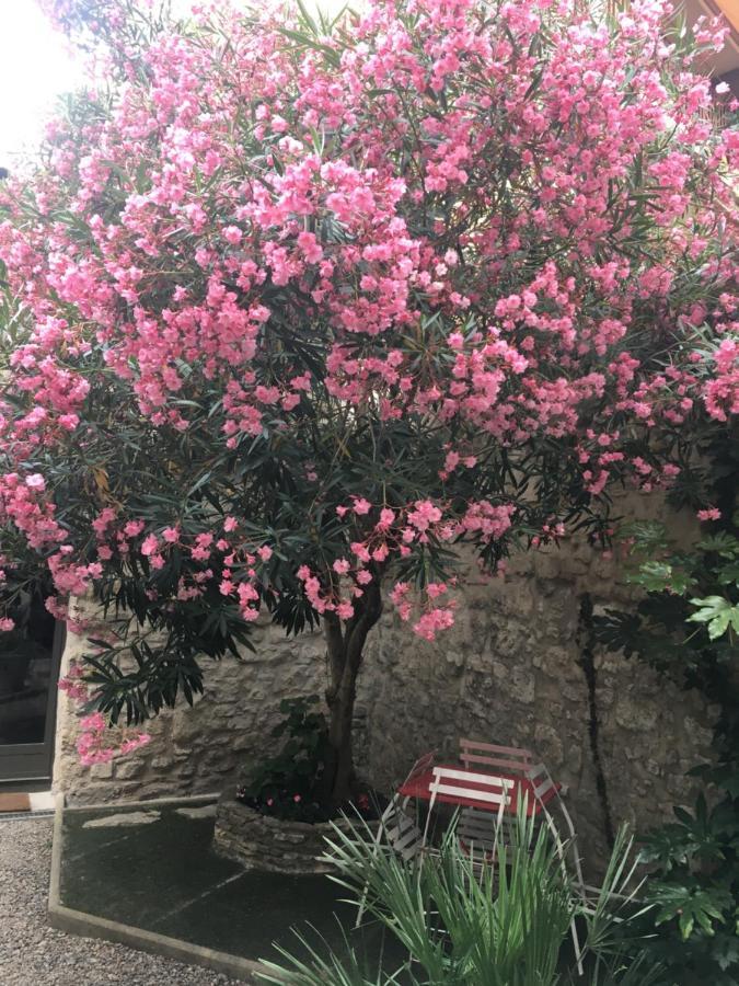 Chambre sur jardin secret Avignon Extérieur photo
